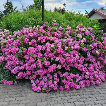 Dworek Sw.Antoniego Slawutowo Buitenkant foto